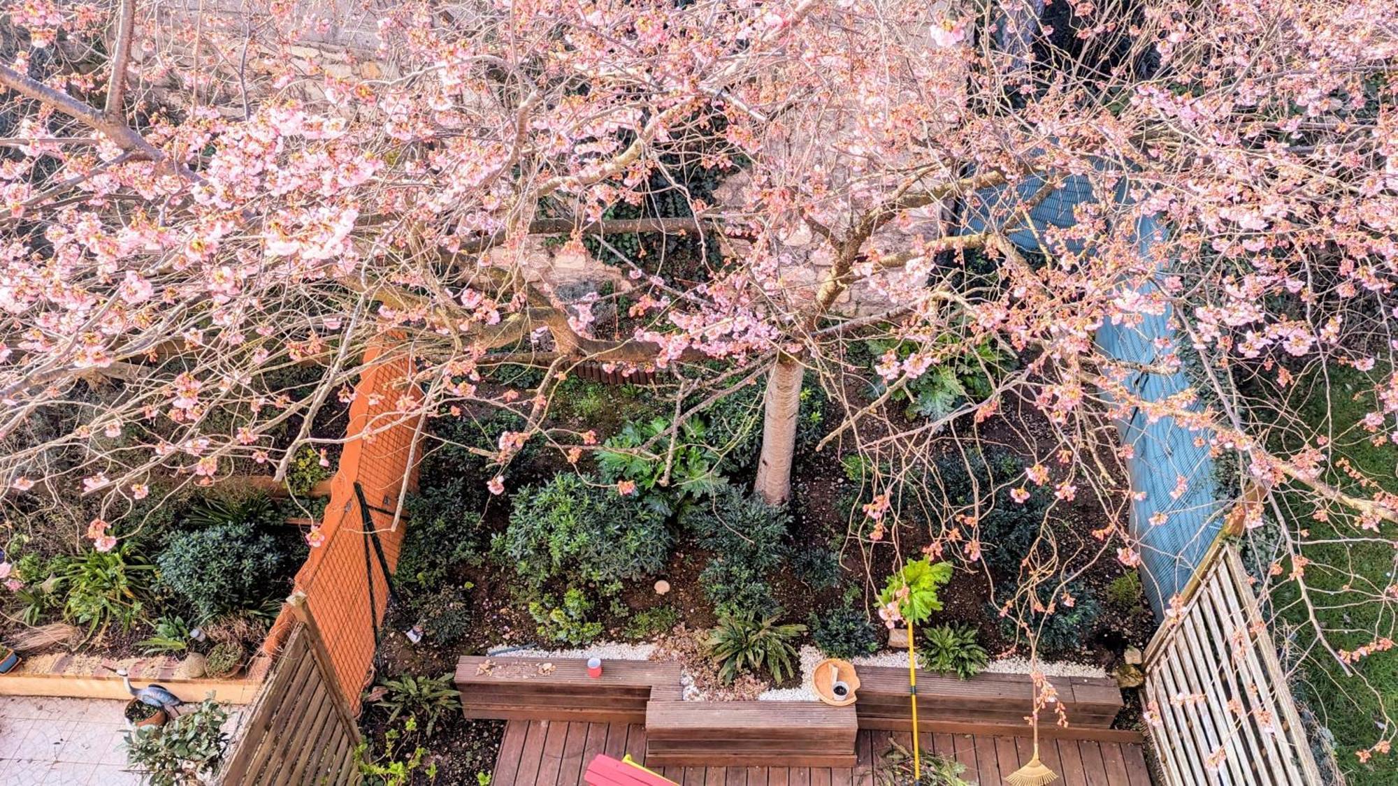 Maison Avec Jardin Au Sud De Paris Appartement Gentilly Buitenkant foto